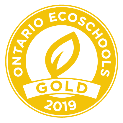 Ecoschools 2019 Gold